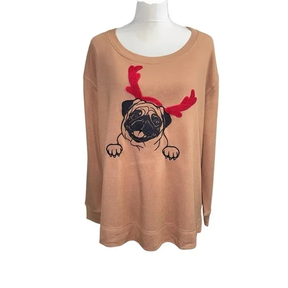 Jane & Delancey (NWT) Over Sized drop shoulder Sweatshirt, Size Large - Picture 3 of 9